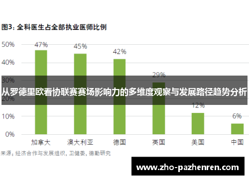从罗德里欧看协联赛赛场影响力的多维度观察与发展路径趋势分析
